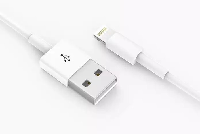 Cable Apple Md818 Câble USB A to Lightning Original - 1m - Blanc